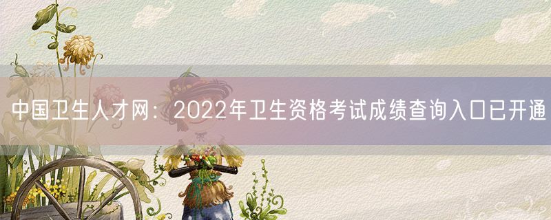 中国卫生人才网：2022年卫生资格考试成绩查询入口已开通